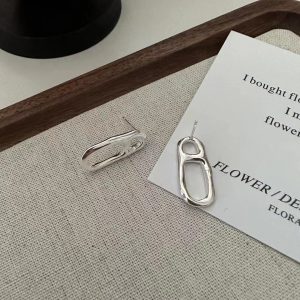 Wholesale 925 Sterling Silver Irregular Earrings