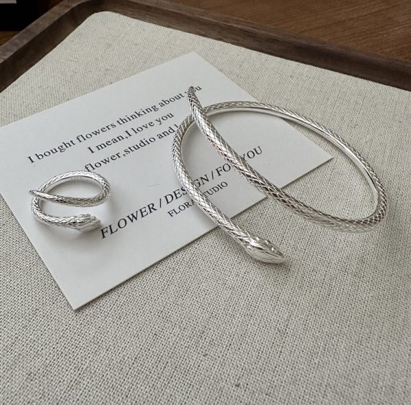 Wholesale 925 Sterling Silver Snake Bangle & Earrings