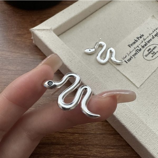 Wholesale 925 Sterling Silver Glossy Snake Necklace & Earrings & Ring - Image 3