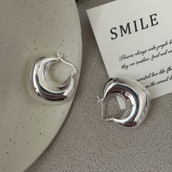 Wholesale 925 Sterling Silver Irregular Earrings - Image 3
