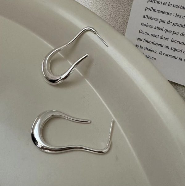 Wholesale 925 Sterling Silver Hooked Earrings - Image 2