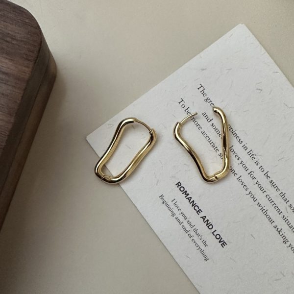 Wholesale 925 Sterling Silver Glossy Irregular Earrings - Image 2