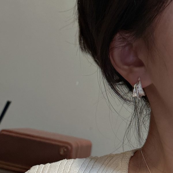 Wholesale 925 Sterling Silver Irregular Earrings - Image 6