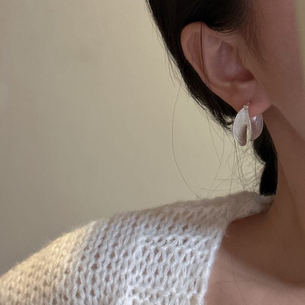 Wholesale 925 Sterling Silver Striped Irregular Earrings - Image 4