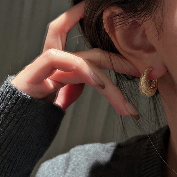 Wholesale 925 Sterling Silver Brushed Zircon earrings - Image 5