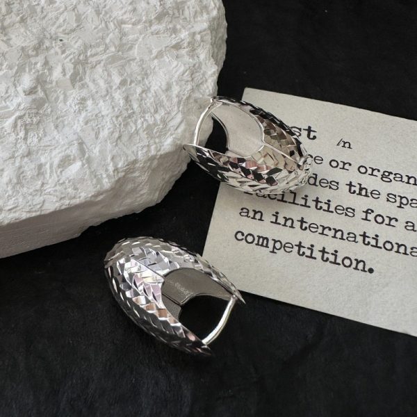 Wholesale 925 Sterling Silver Broken Ice Sparkling Earrings - Image 3