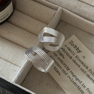 Wholesale 925 Sterling Silver Irregular Line Earrings